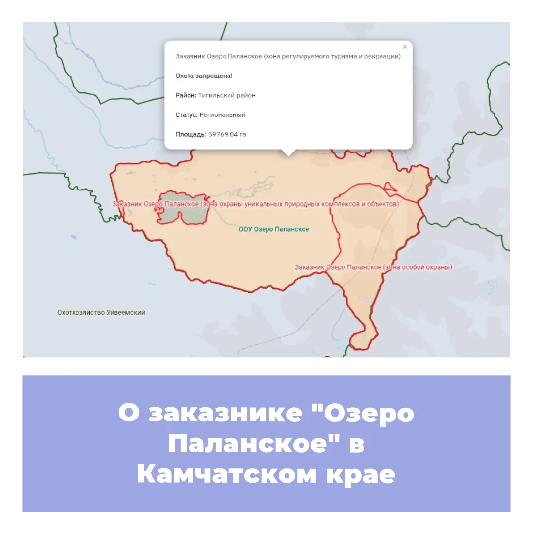Государственный природный заказник регионального значения "Озеро Паланское" был создан для сохранени