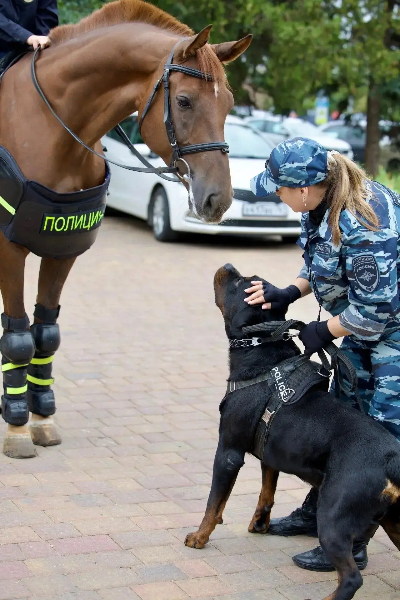 👮‍♂️Полиция Ростовской области на фестивале профессий: школьники познакомились с работ...