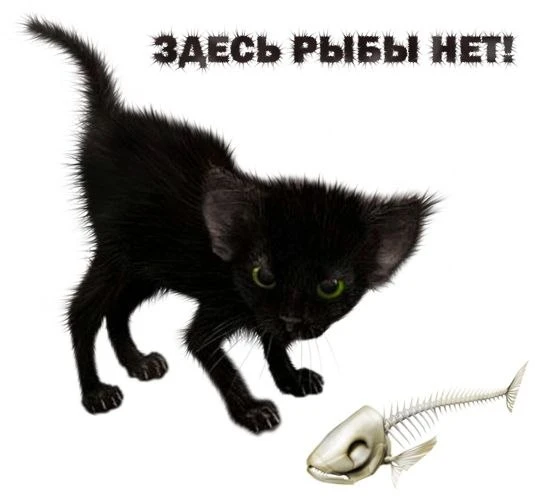 Путина в Хабаровском крае оказалась под угрозой провала из-за редкого природного явления