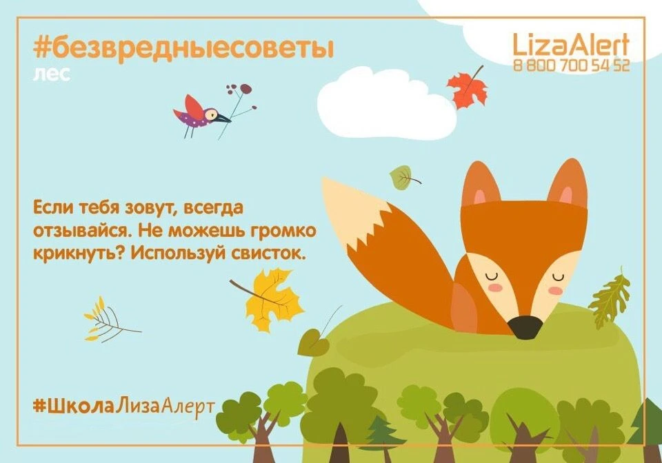 Сегодня в рубрике #безвредныесоветы поговорим о безопасности в лесу