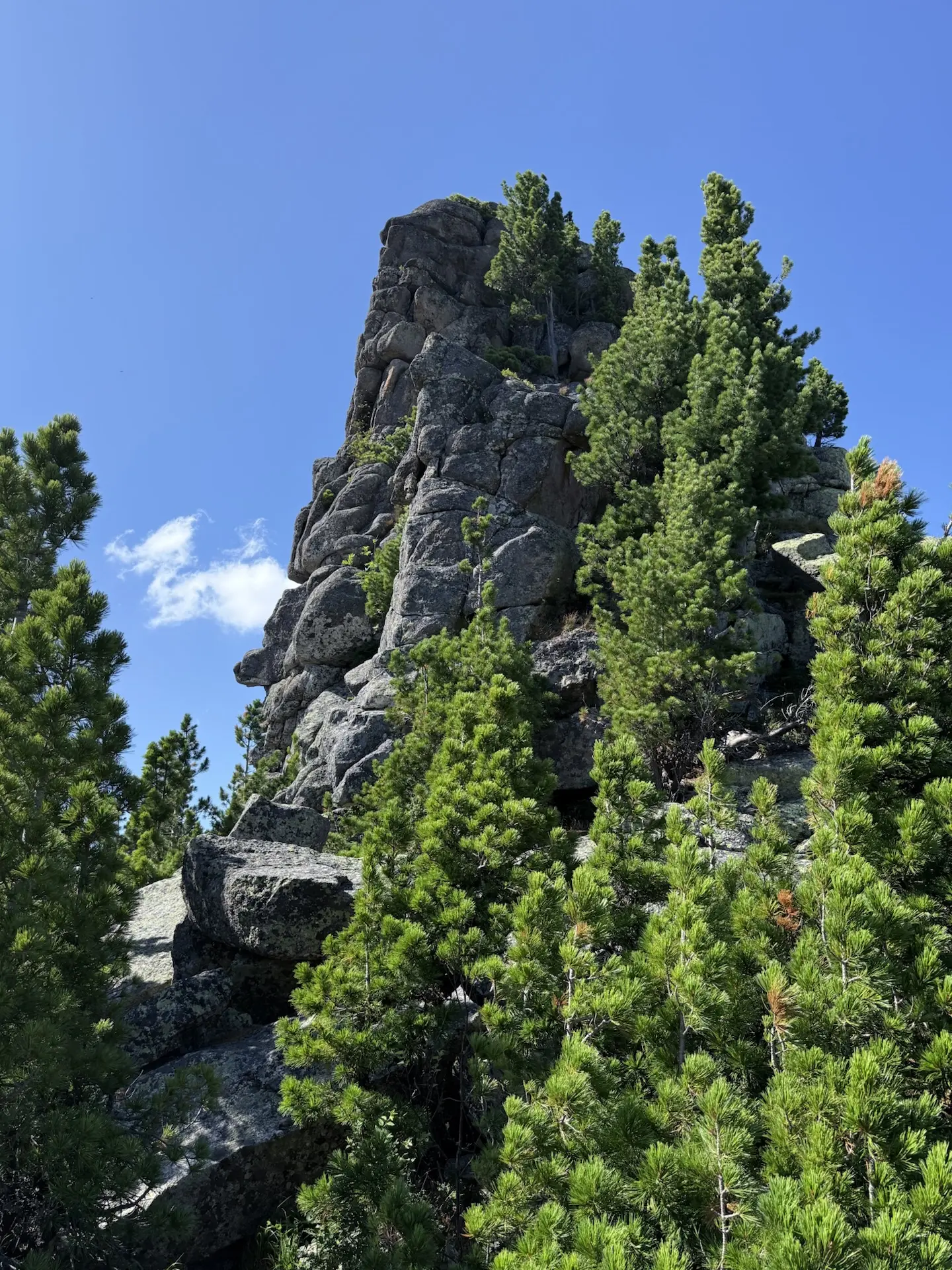 🏔 Горячий тур в Шерегеш на 3 дня — всего 8 000 ₽ на человека !  Хочешь вырваться в горы, отдохнуть в