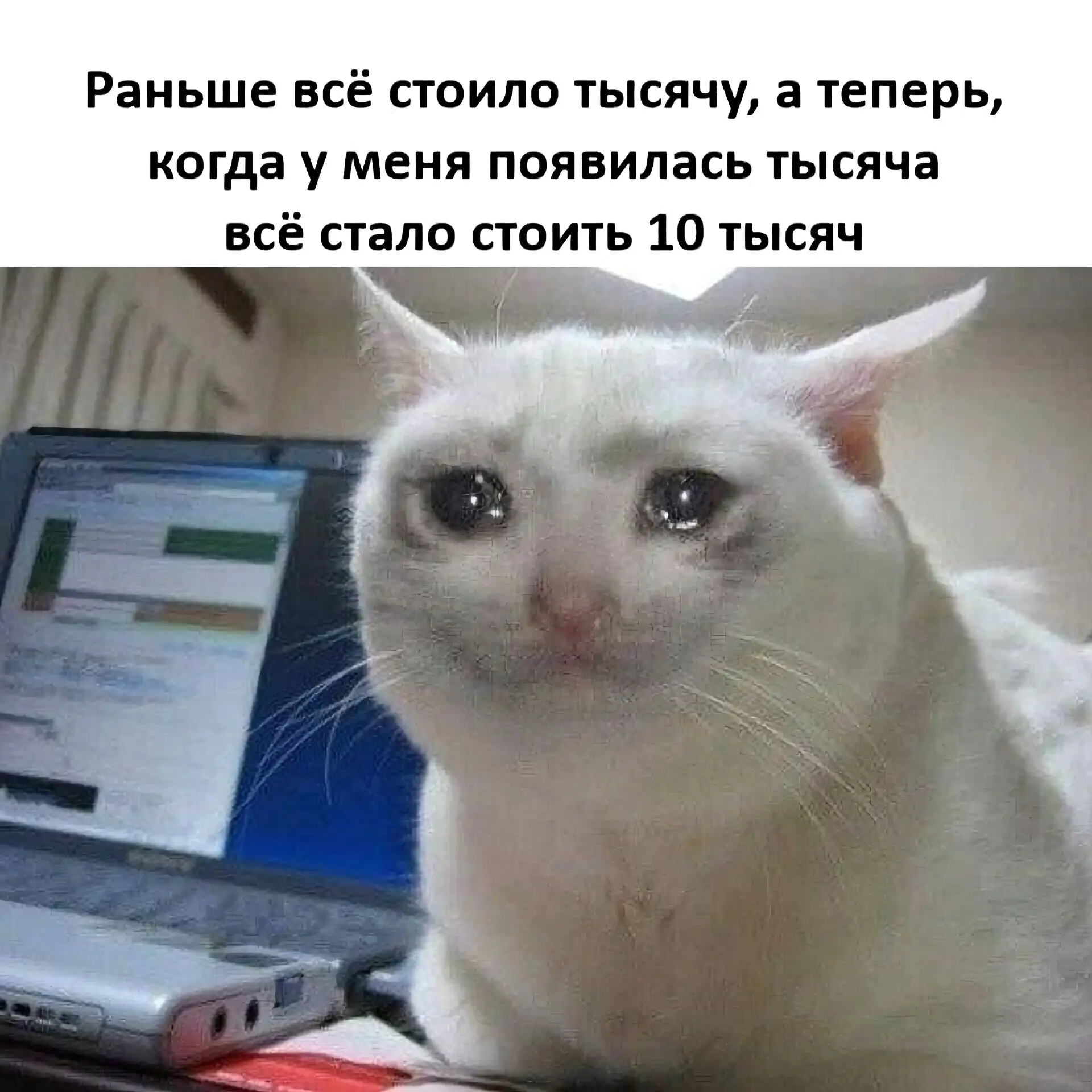 💸 Беспощадная инфляция...