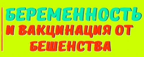Стоит ли беременным вакцинироваться от бешенства

Многие уверены, что вакцинироваться во время берем