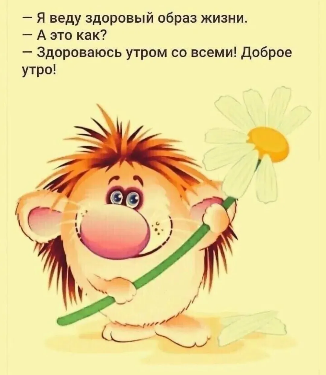 💞НеПросто открытки в МАКС😻

С добрым утром!☕