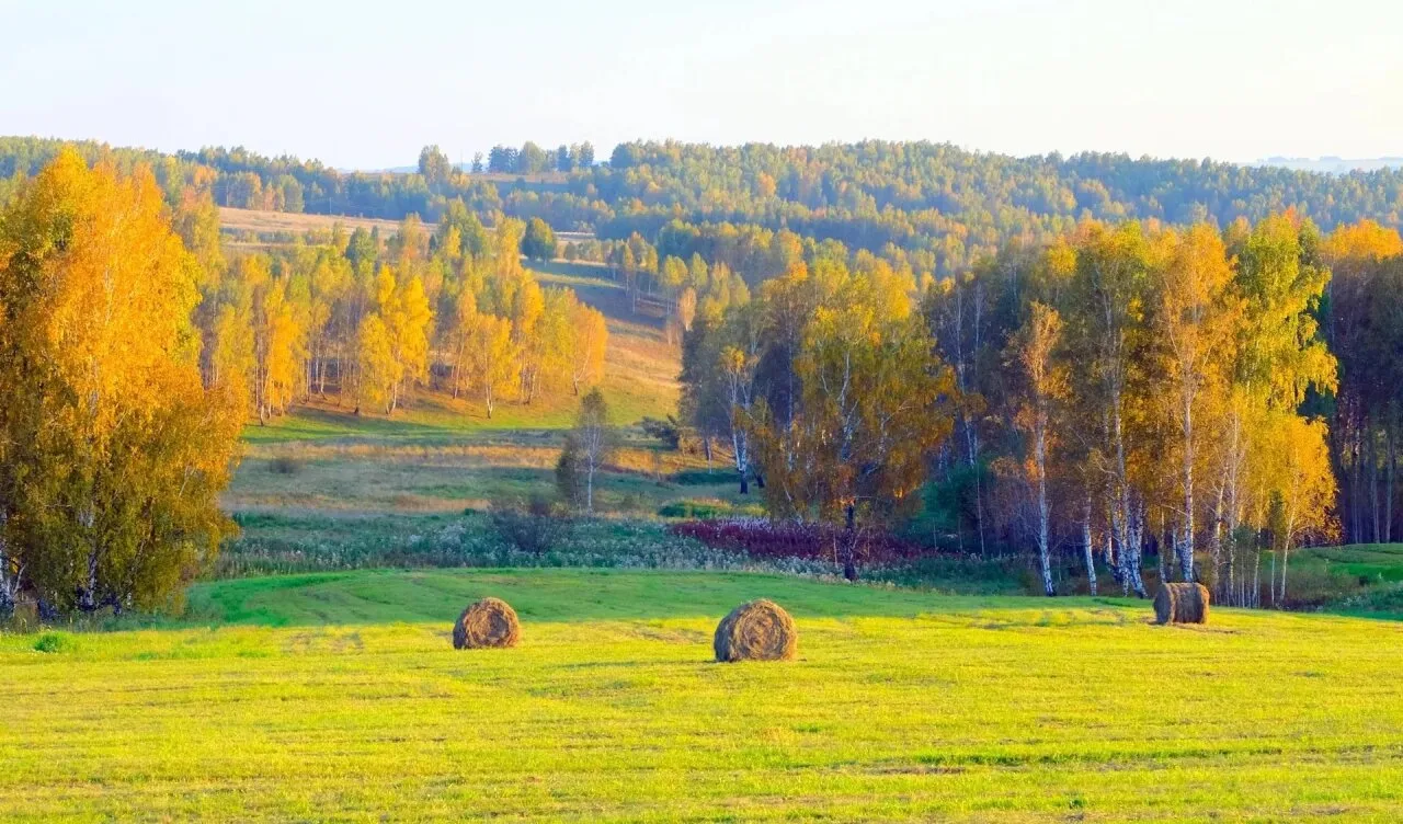 Сибирская осень