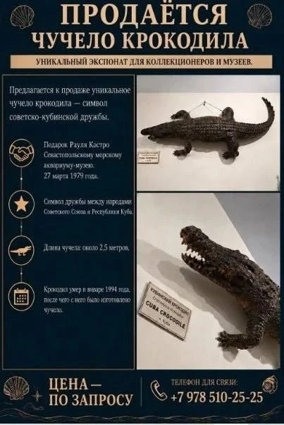 🐊 Севастопольский аквариум оказался в настолько сложной ситуации, что начал продавать ...