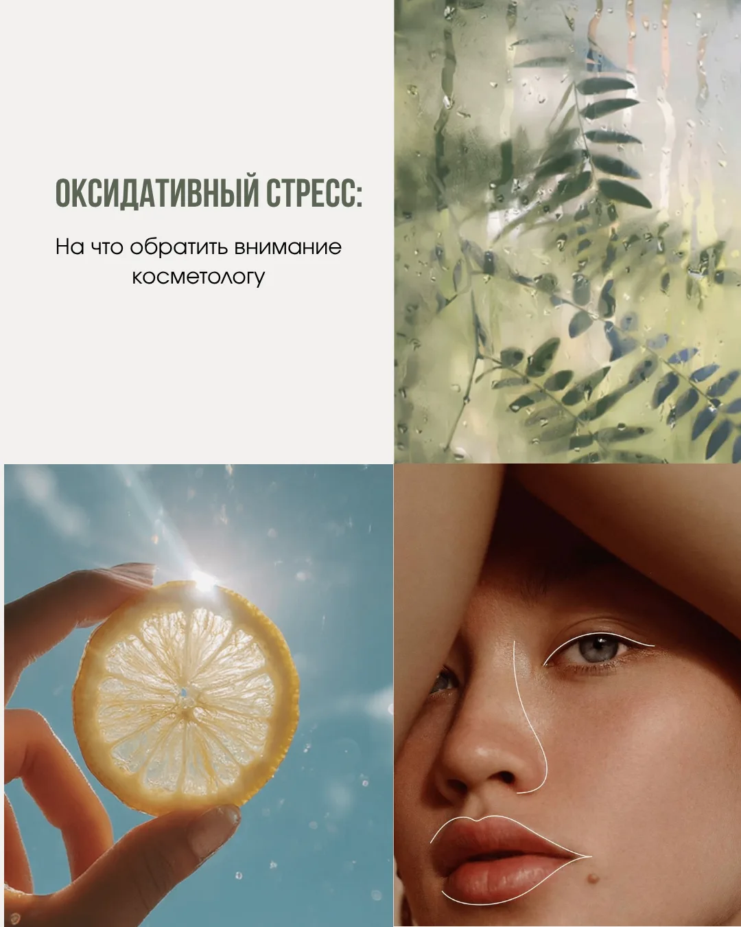 ✨ Когда стоит добавить антиоксидантную поддержку в уход?