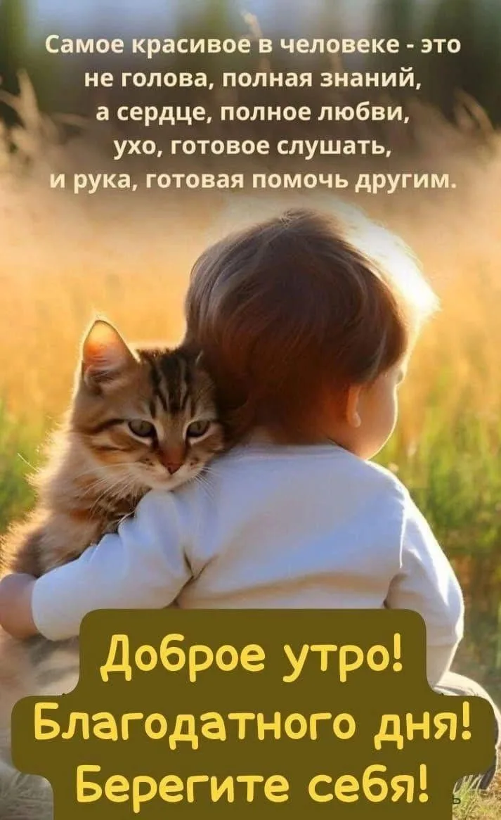 Доброе утро! ☀️ Красивого дня, счастливых уютных минут!  Я - Пенсионер✅