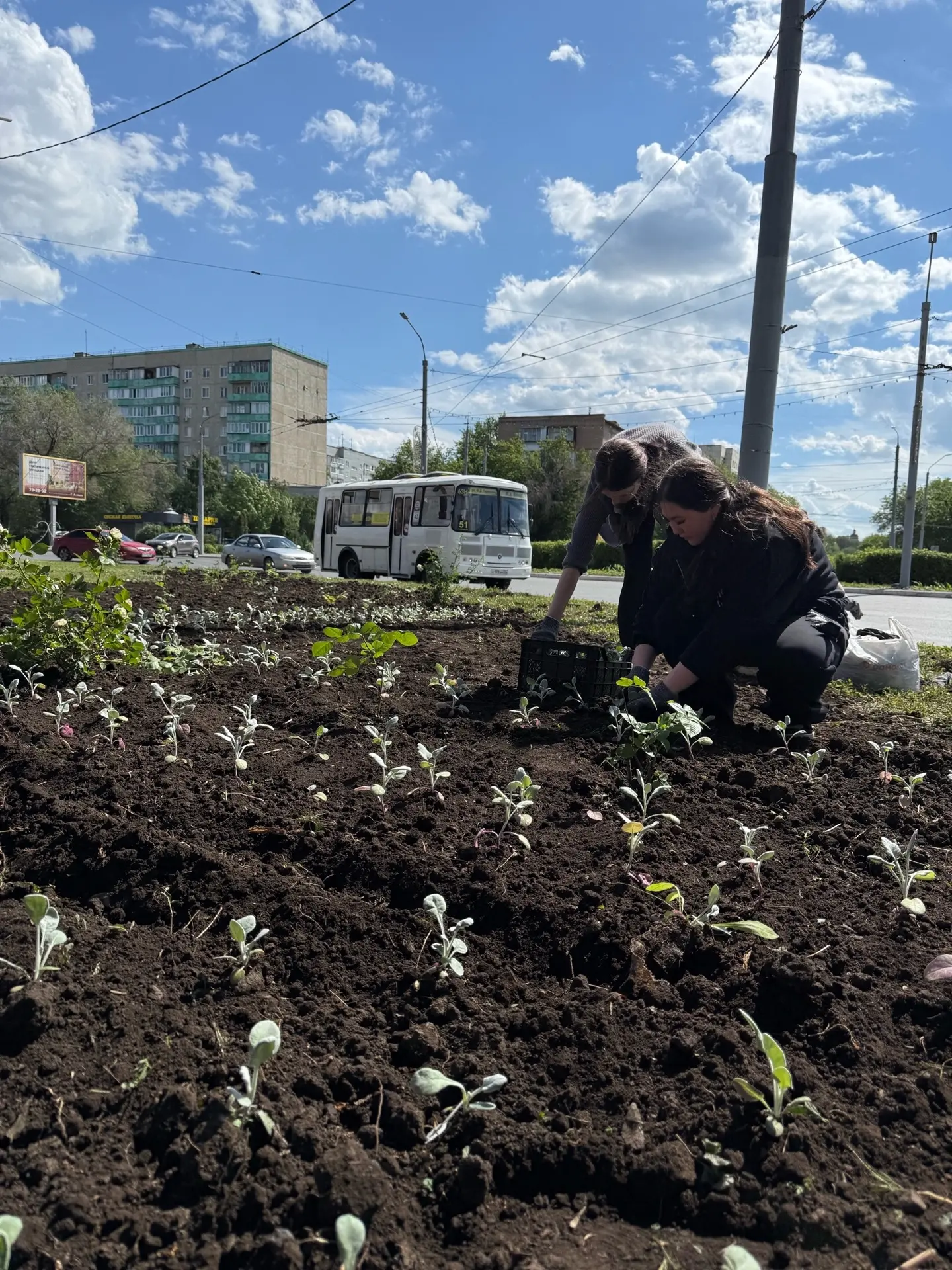 Благоустройство территории 🌱

Студенты нашего техникума приняли участие в высадке цветов совместно 