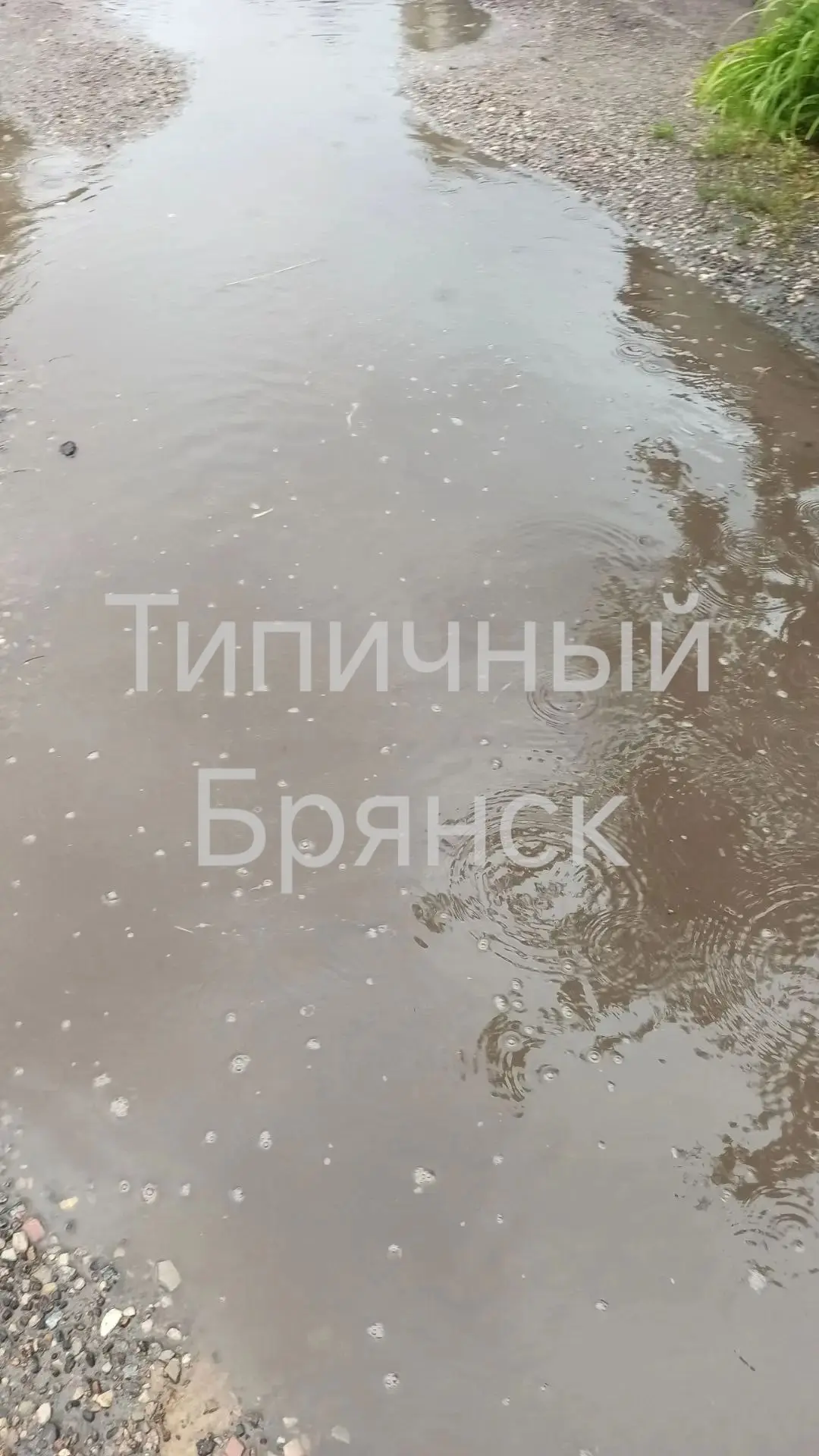 Жители улицы 2-я Ломоносова жалуются на отсутствие ремонта дорожного покрытия, который ...