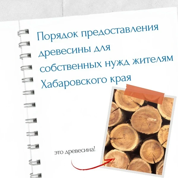 🌲  Министерство лесного хозяйства и лесопереработки Хабаровского края напоминает гражданам о правил