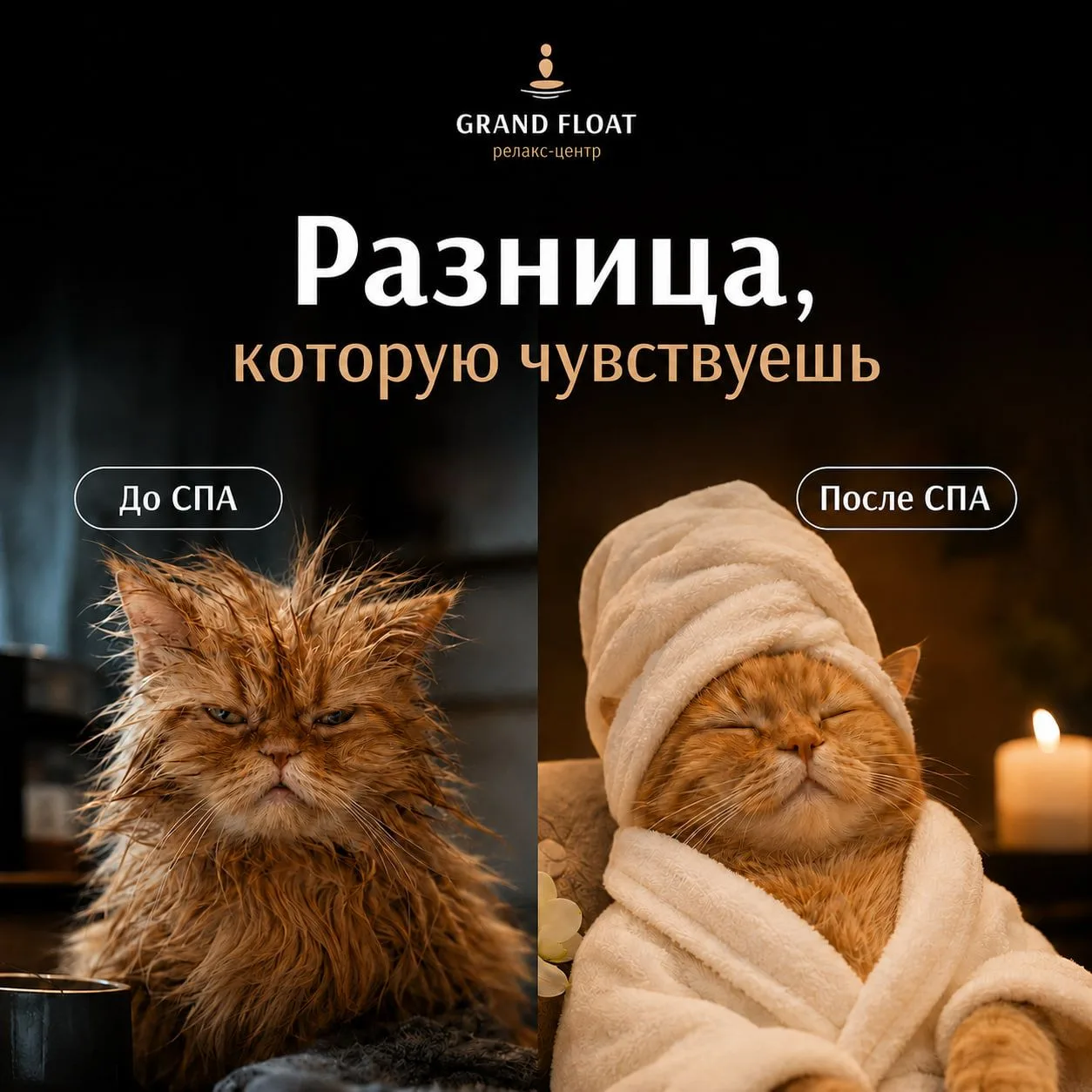 Воскресенье ещё не закончилось, а понедельник уже намекает, что пора записаться на отды...