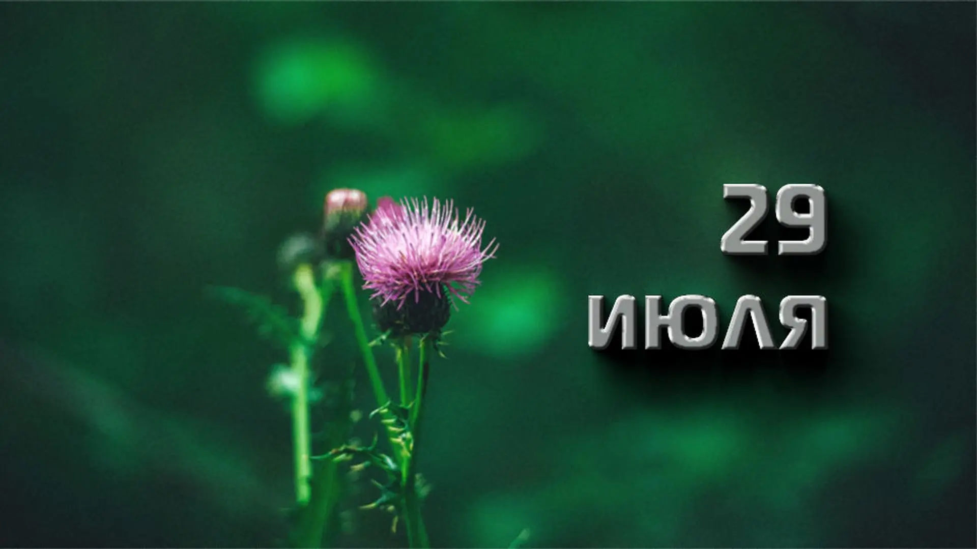 🗓 29 июля – отмечаются праздники