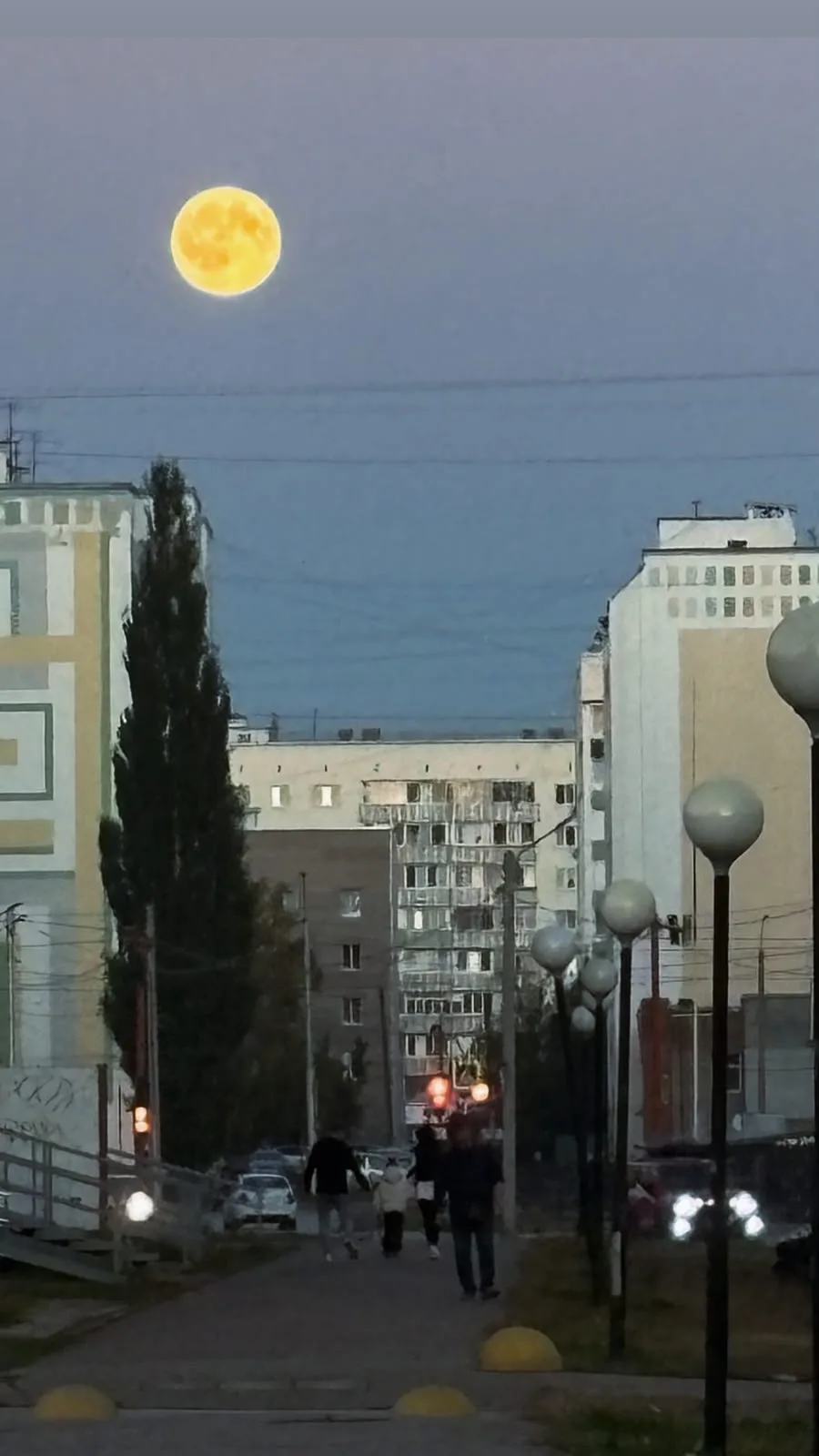 🌕