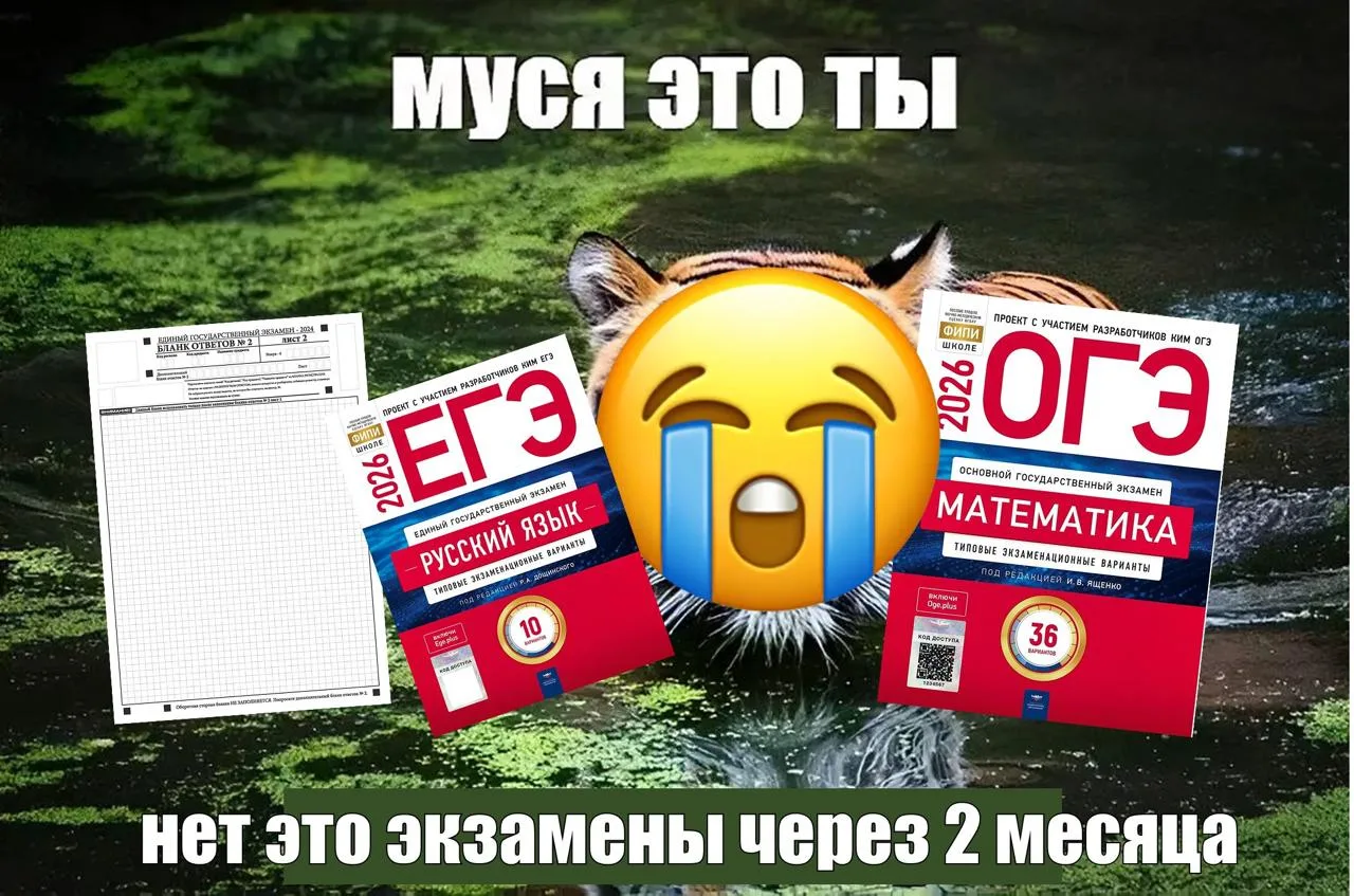 🌬️ Среда — третий день каникул!  🌡️ Погода утром –3°, днём до +5°. 💨 Ветер 5 м/с, небольшой, но ощут