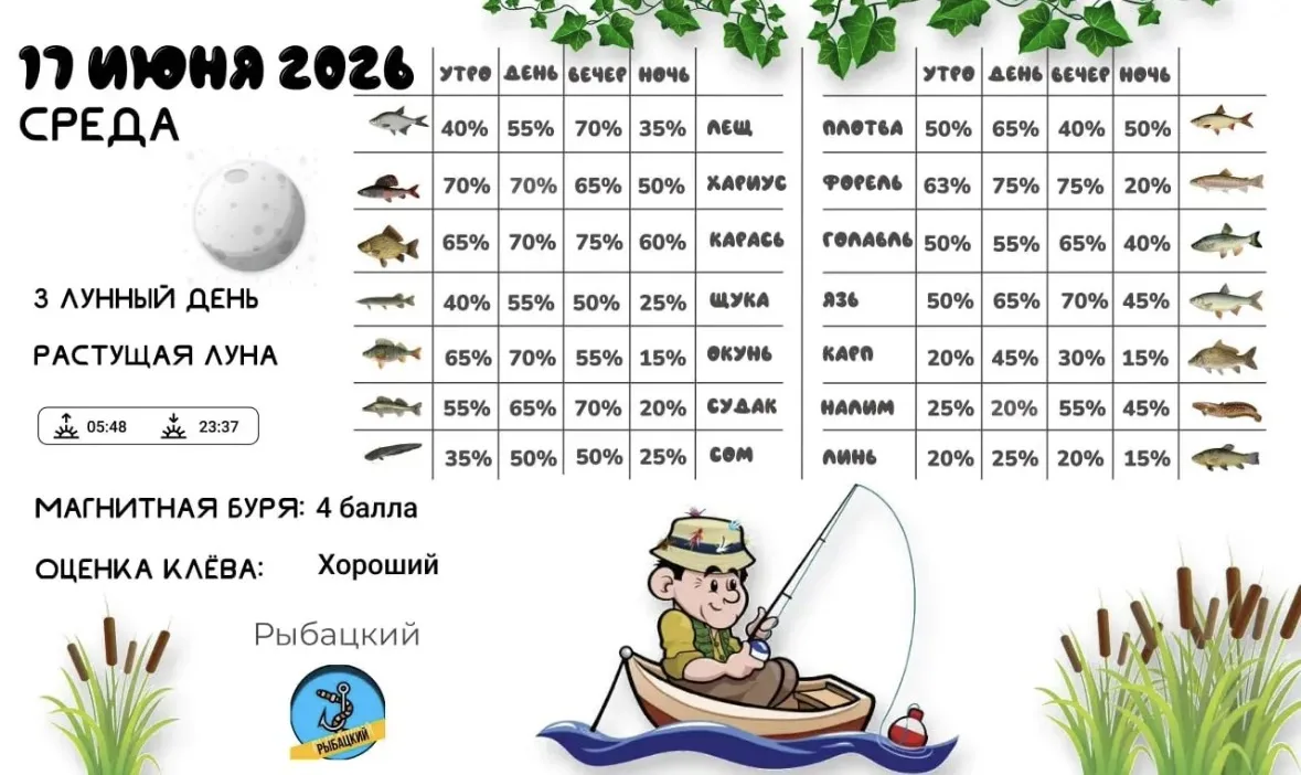 Прогноз клёва на 17 июня по фазе и состоянию луны 🎣

Идет рыбак и тащит огромного сома килограмм по