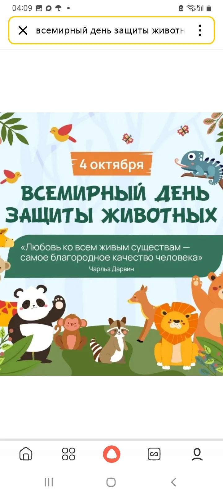 Что такое Всемирный день защиты животных?