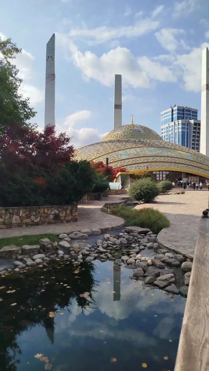 🕌 ГРОЗНЫЙ И БЕЛАЯ МЕЧЕТЬ В ШАЛИ!