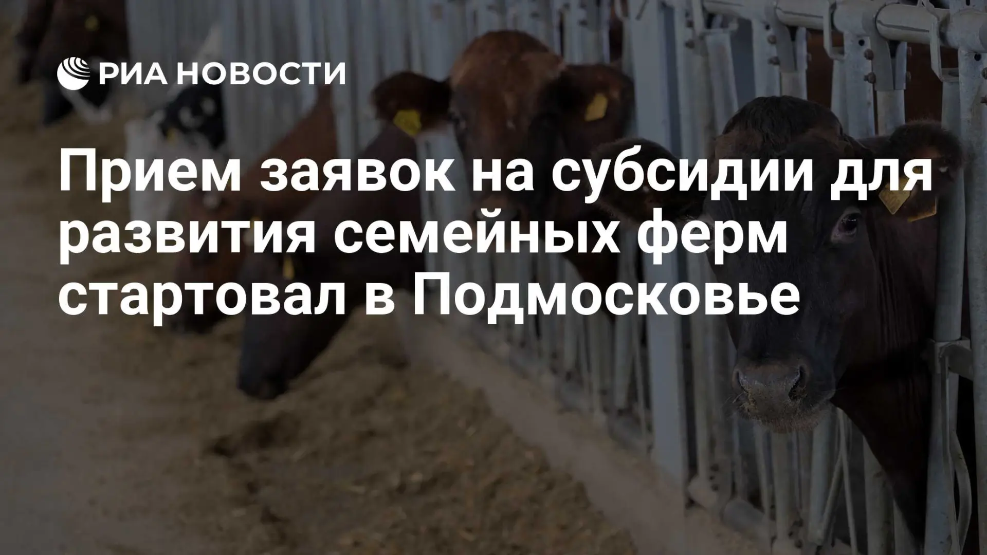 🇷🇺 Прием заявок на субсидии для развития семейных ферм стартовал в Подмосковье