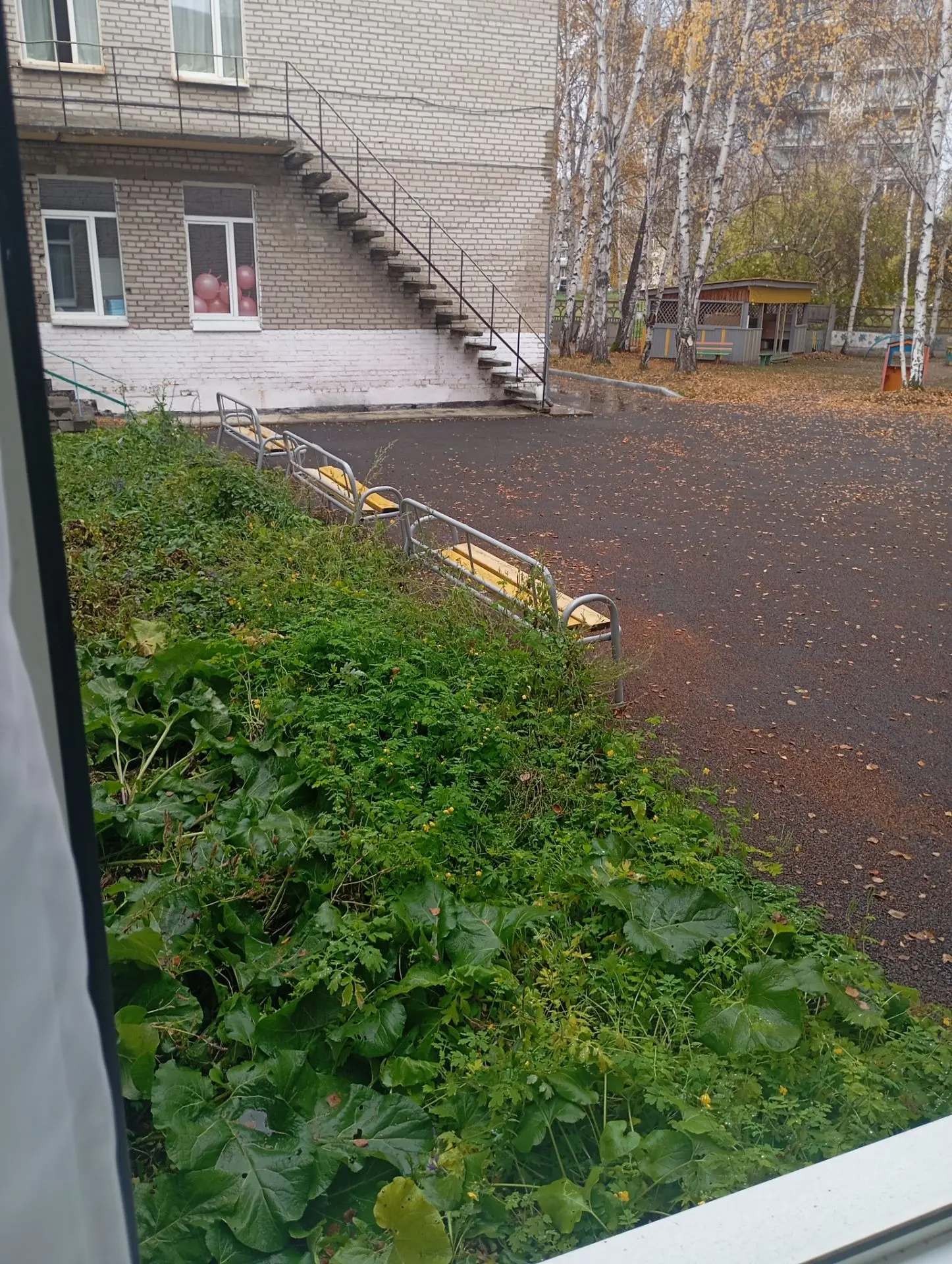 Дождь льет целый день 🤦