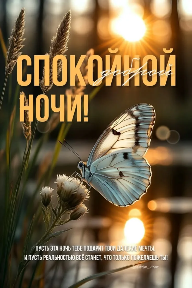 Поздравления для Настроения💌