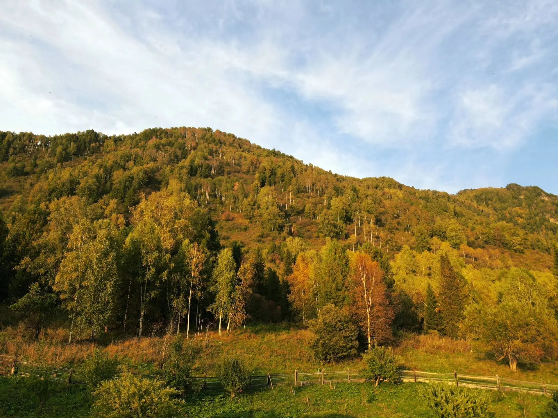 Шагает осень
