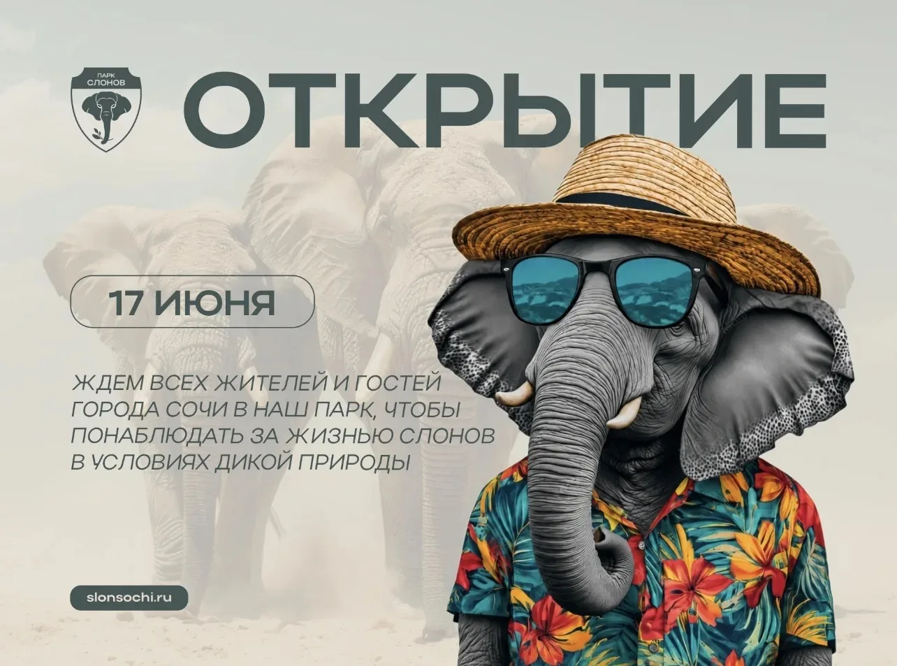 УРА!🎉 Открытие одного из самых аутентичных и интересных мест Сочи-ПАРКА СЛОНОВ 🤩 🐘