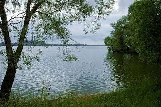 А вы знаете, что Черепетское водохранилище местные иногда называют «морем». 🌊
Из-за внушительных ра