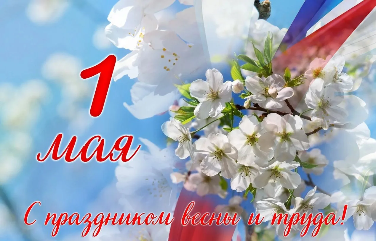 ✨Уважаемые жители, Центр социальной поддержки населения Молчановского района