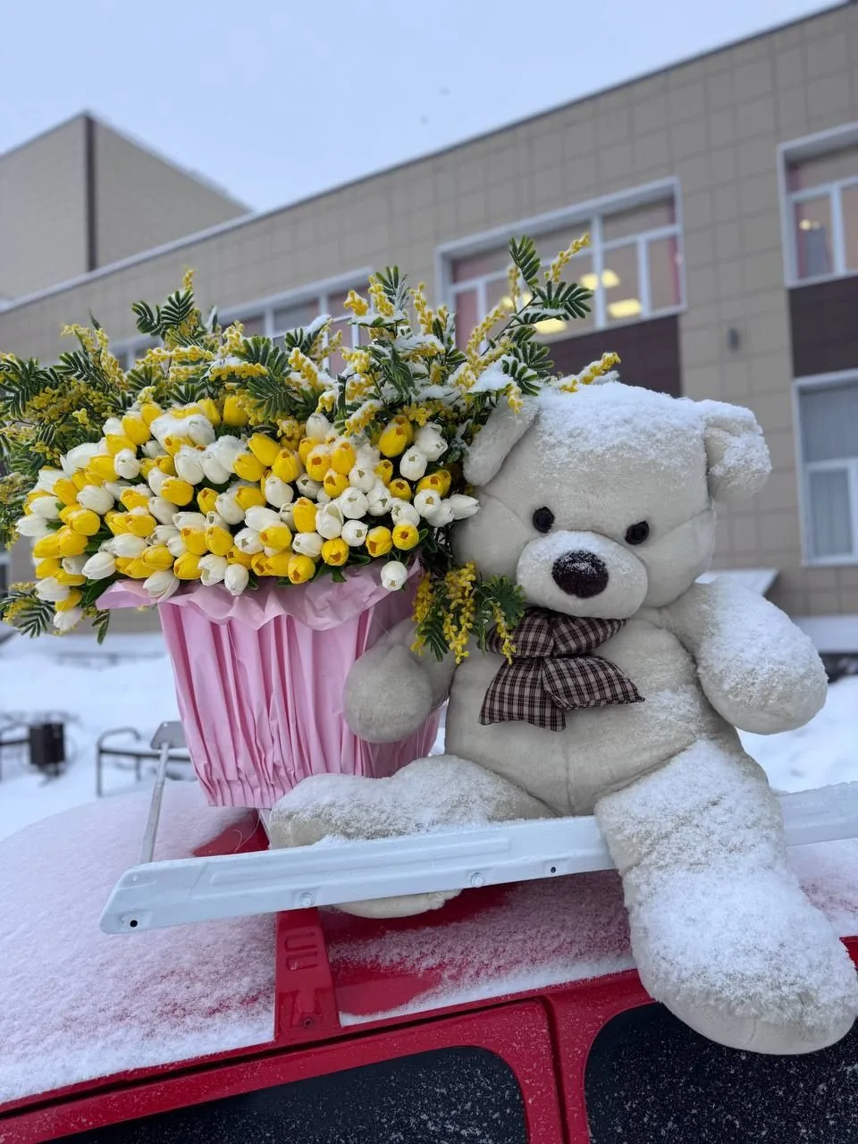 В преддверии международного женского дня 8 марта, Центральная библиотека подготовила дл...