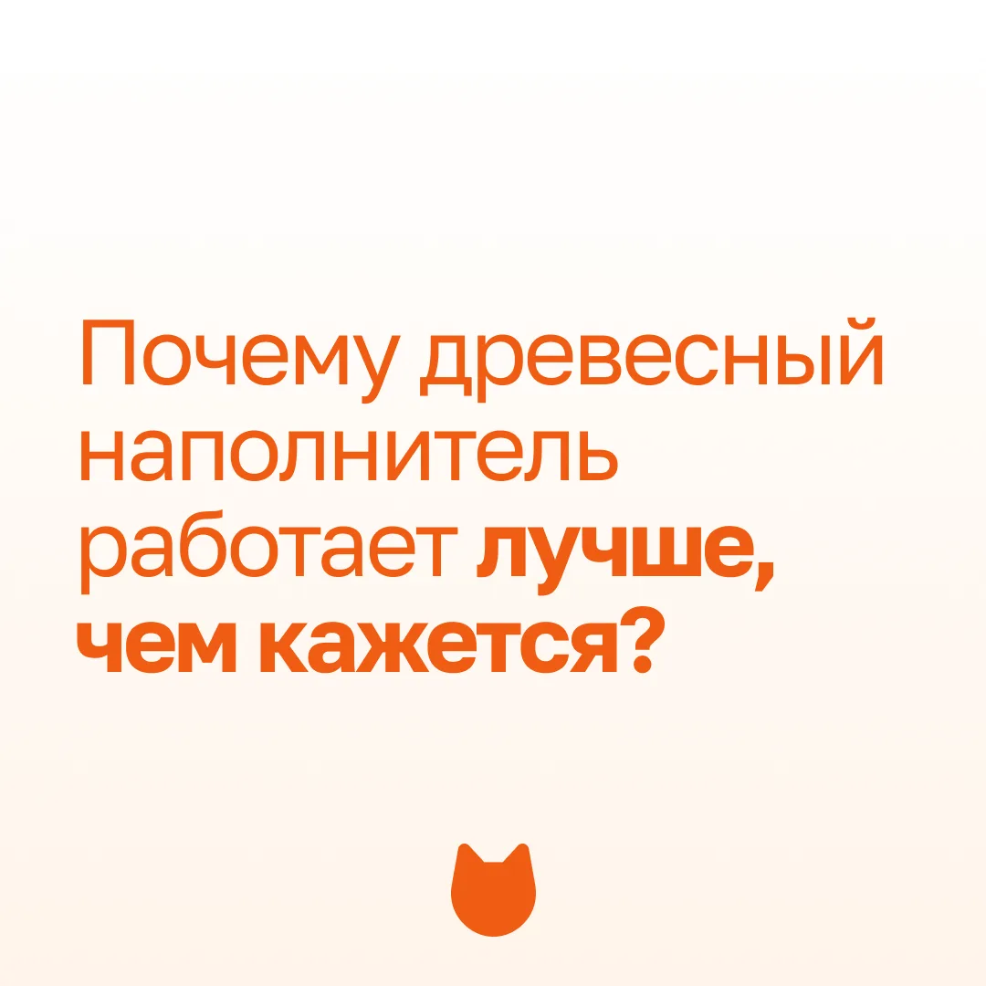 3 причины всё-таки попробовать древесный наполнитель (он лучше, чем вам кажется!) 🐱