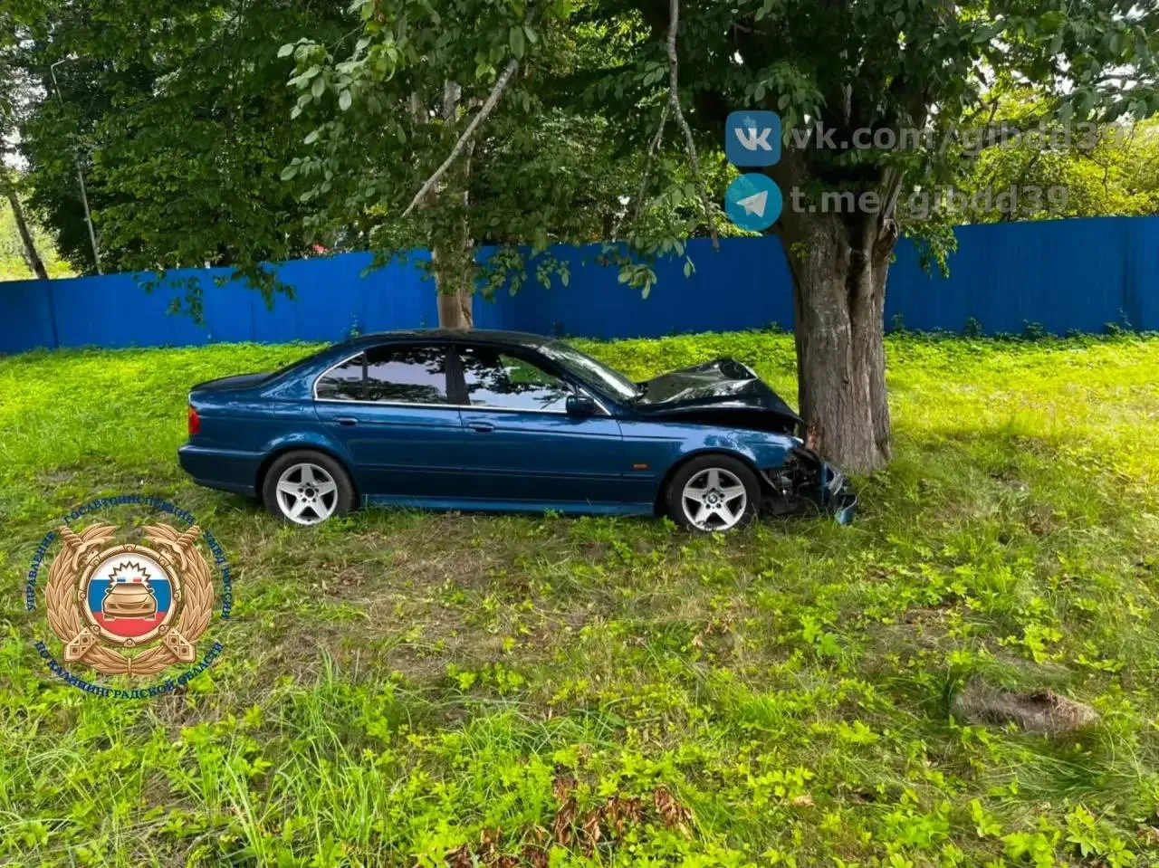 На трассе Калининград — Балтийск BMW врезался в дерево: есть пострадавшие