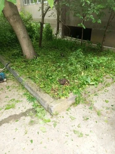Уважаемые жители МК 27 по ул Орджоникидзе, во дворе вашего дома провели  второй покос травы