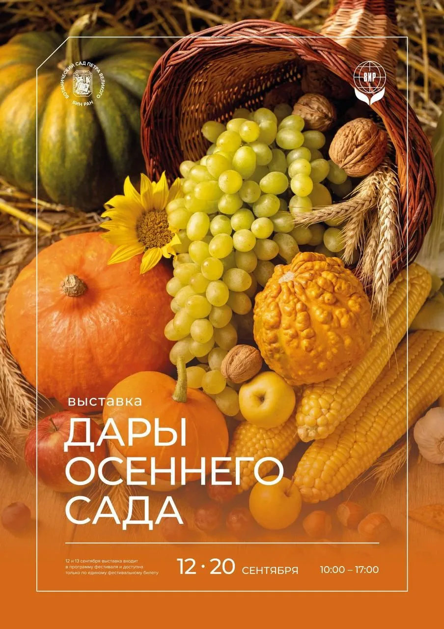 Выставка «Дары осеннего сада»