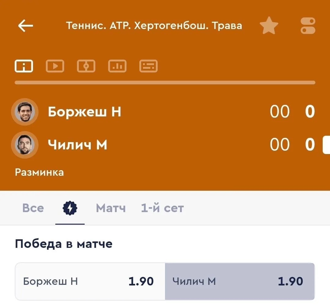 Теннис.  ATP. Хертогенбос. Нидерланды. Трава