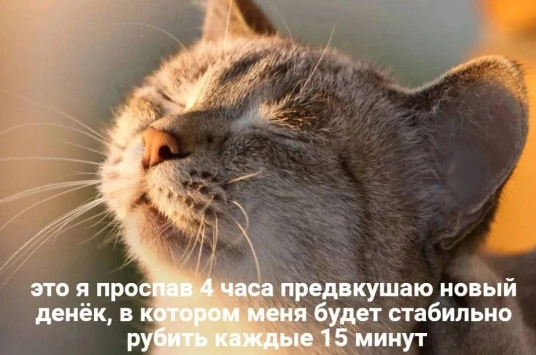 МемоБосс