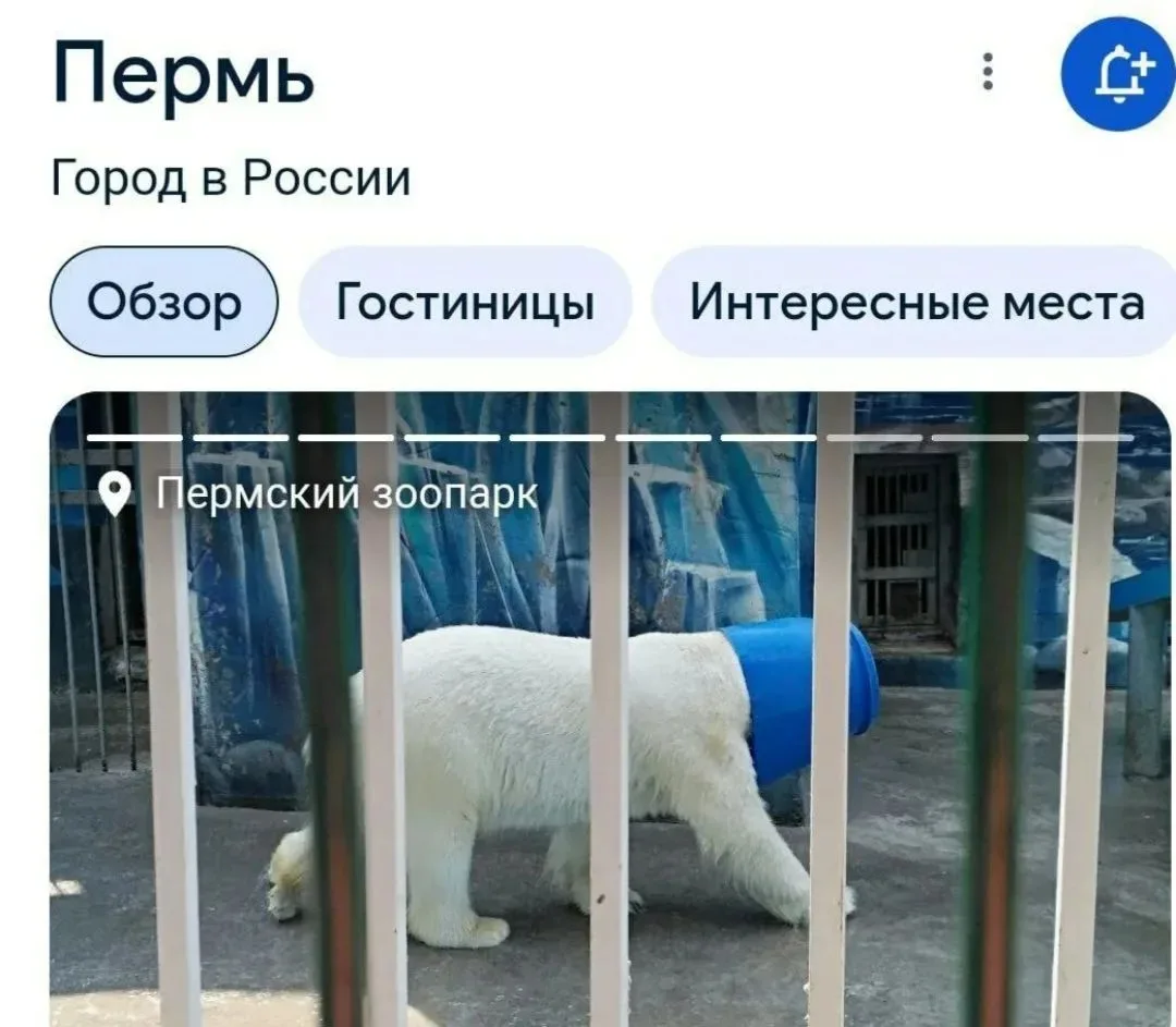 А Пермский зоопарк умеет создать интригу😆