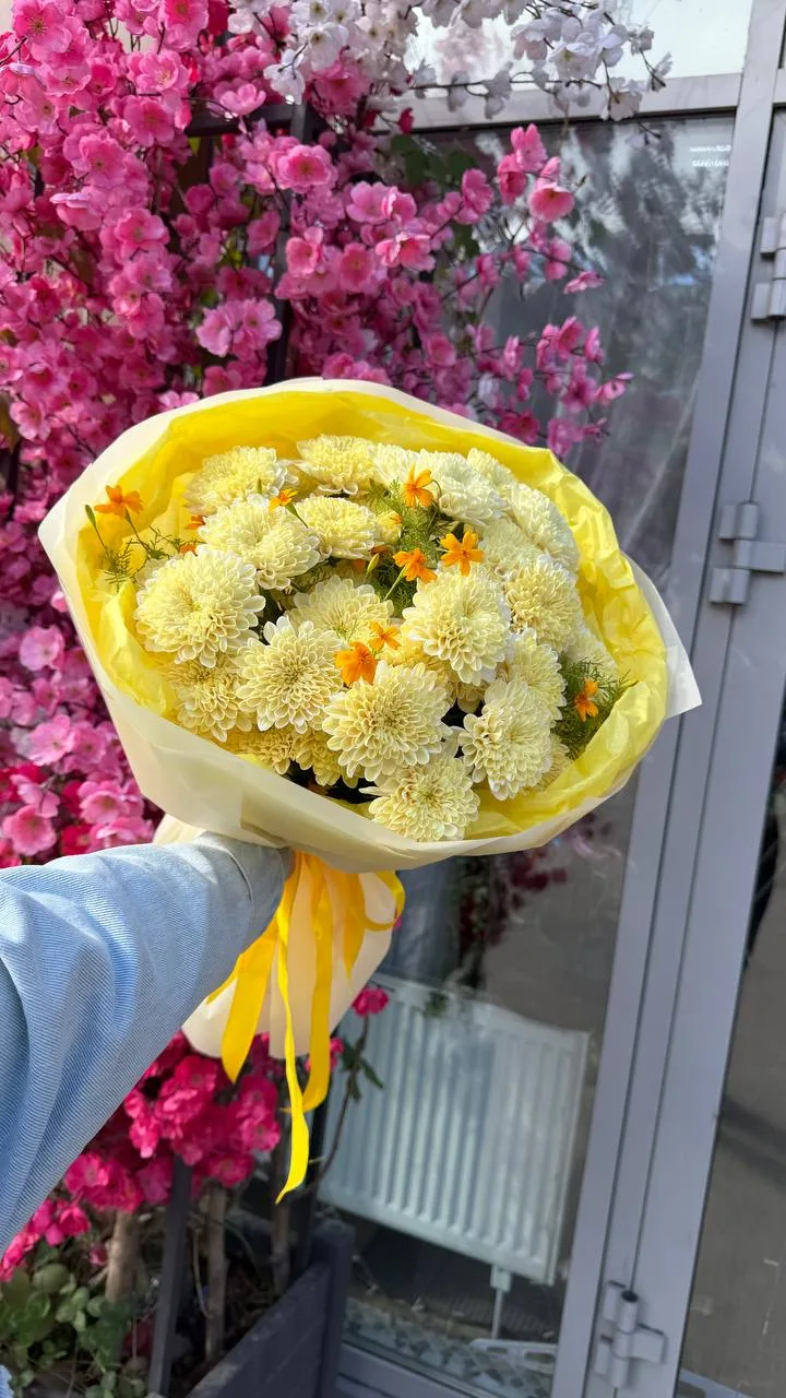 Цена:2400₽