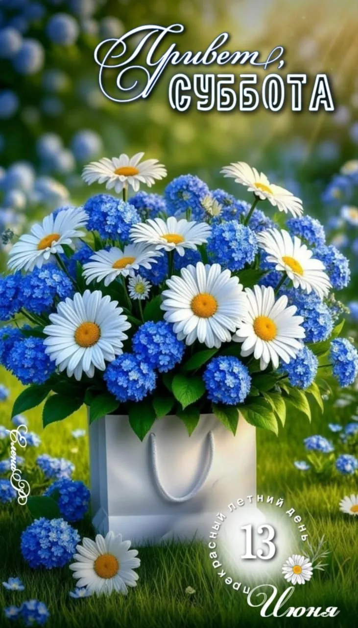 С новым утром, с новым днём 🌼

Открытки на все случаи 🎈 🩵