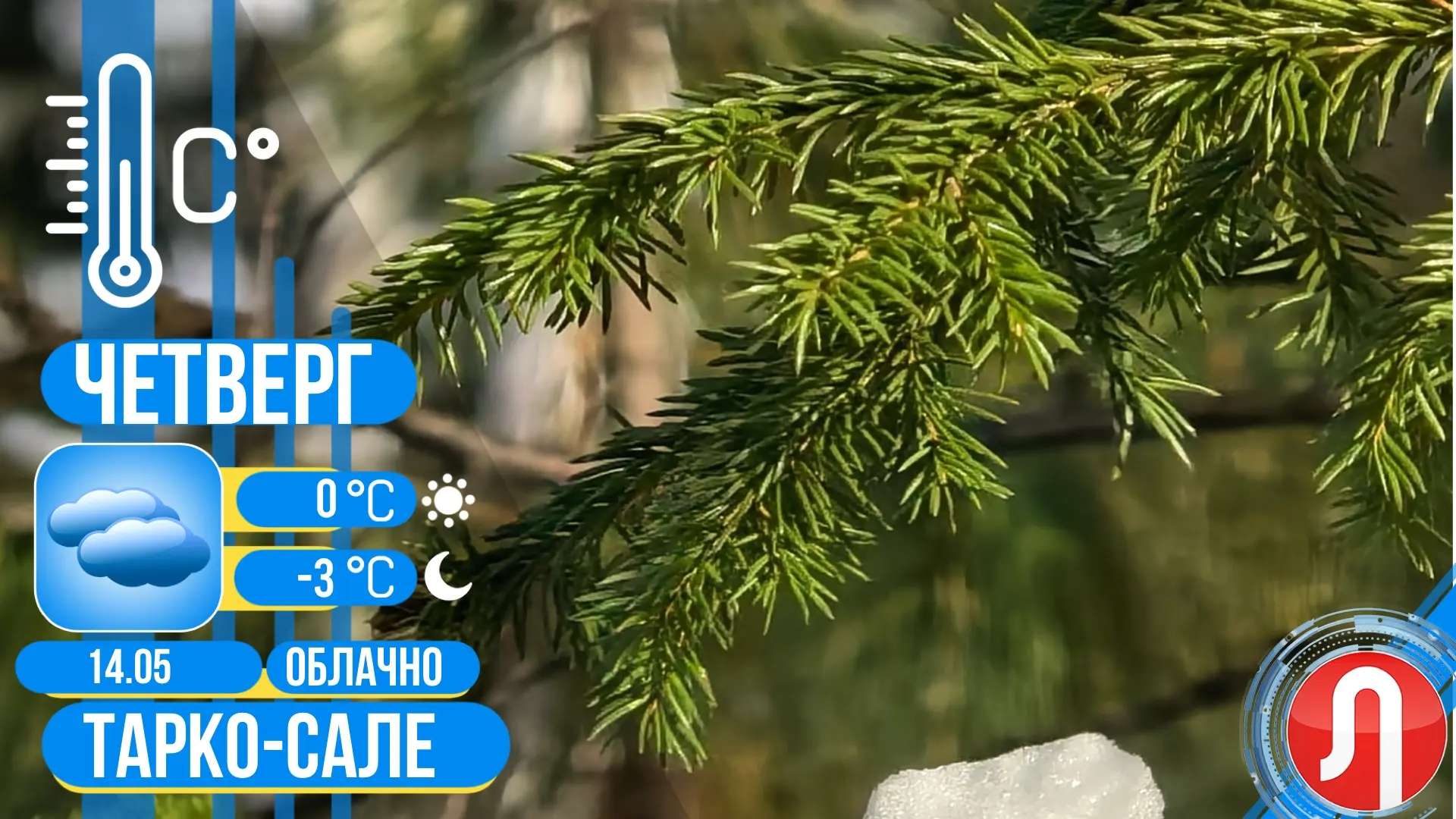 ☁️Прогноз погоды   ✔️Сегодня в Тарко-Сале облачно, без осадков. Температура воздуха днем 0 градусов.