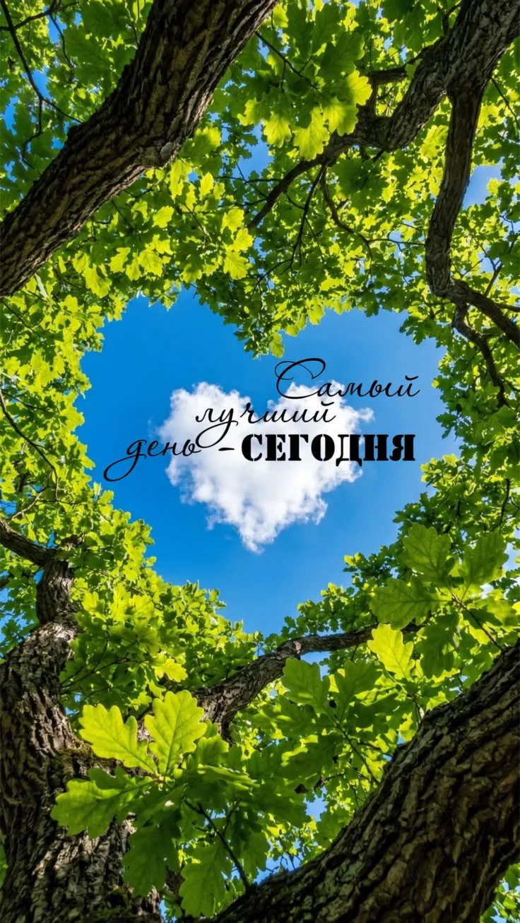☀Внимание!☀