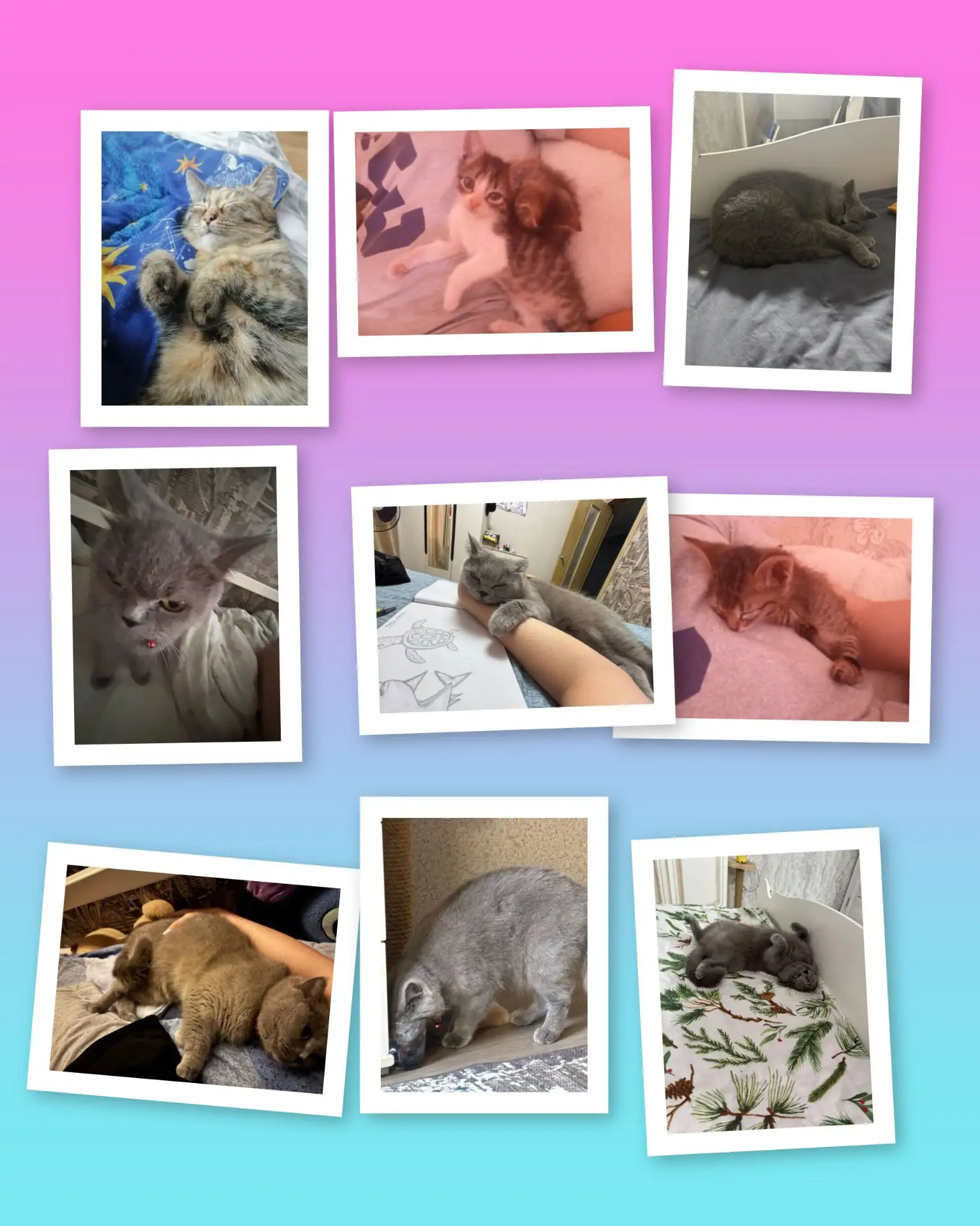 🐾 Лапы, уши, хвост и... море любви! Наша акция продолжается!