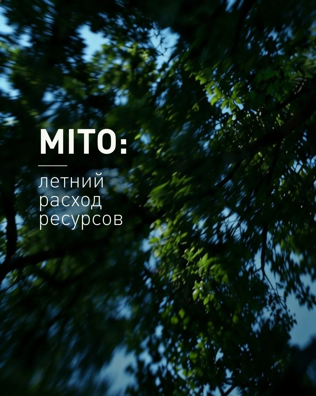 Лето задаёт свой ритм!

 Солнце, активность и плотный график ускоряют наш внутренний «метаболический