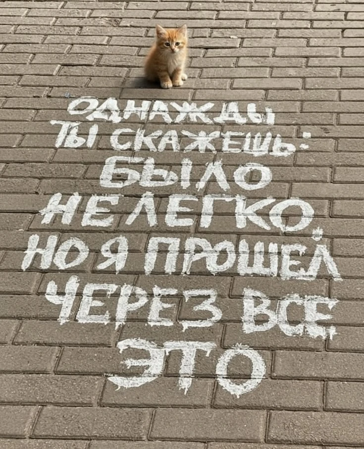 Пост-отчёт