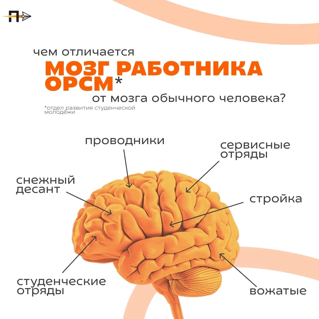 Какие мысли таит в себе мозг работника отдела развития студенческой молодёжи?