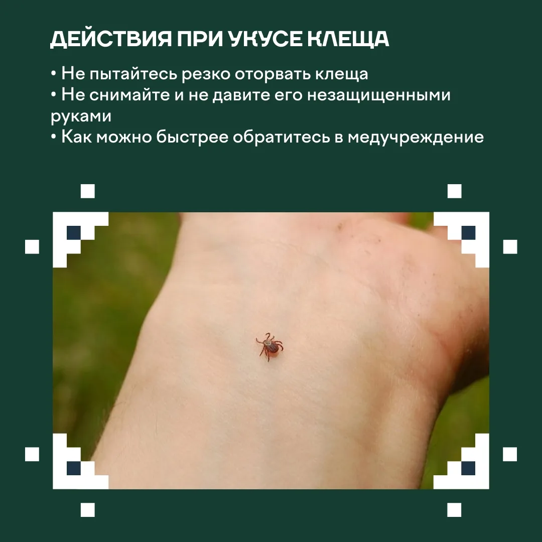 🌿 В наш округ возвращаются солнечные дни, хочется чаще гулять и наслаждаться весенними пейзажами. Но