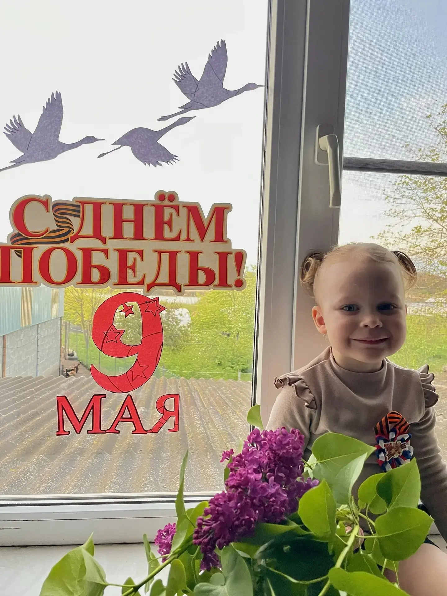 Акция «Окна Победы» — это ежегодное патриотическое мероприятие, приуроченное к Дню Победы. 
 Ее цель