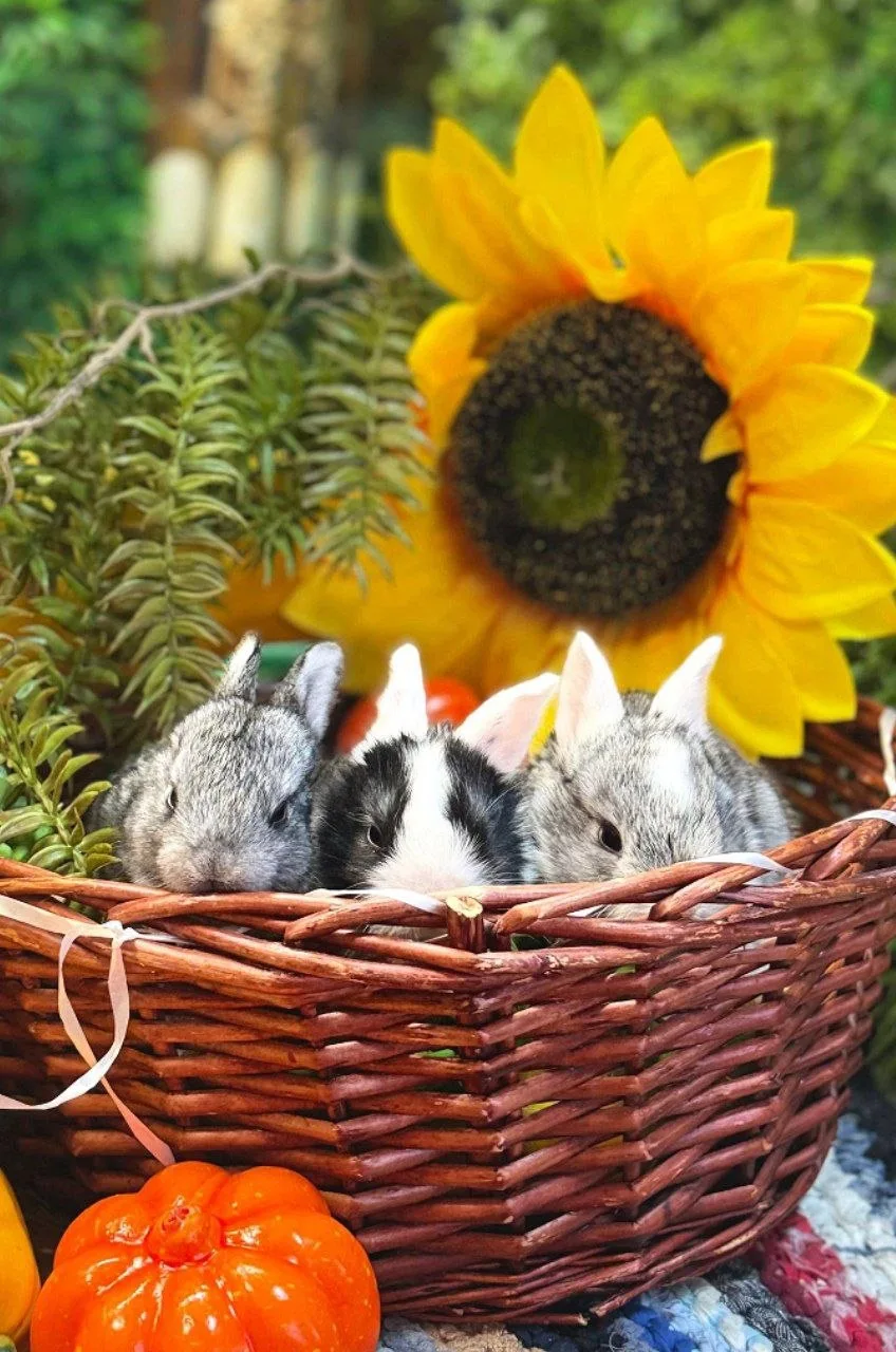 Куда пойти с ребёнком в Иркутске в осенью 😊?