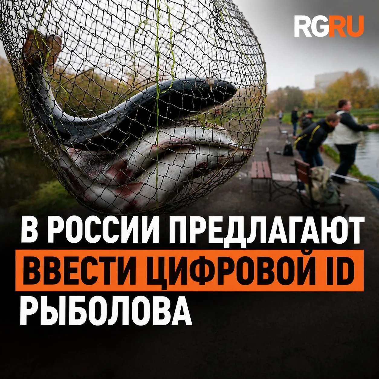 Любительскую рыбалку предлагают перевести в единый цифровой контур