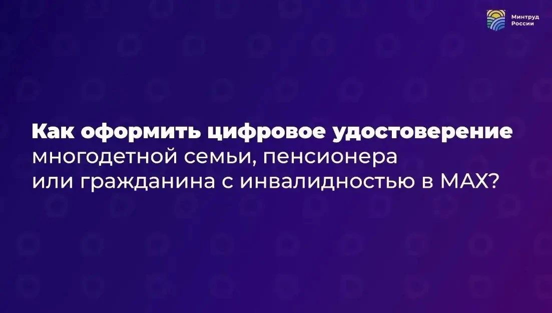 Подтвердить льготы многодетной семьи можно через приложение МАХ